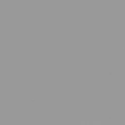 Fenstr Dakraam Rolgordijn Dave Grijs Verduisterend