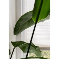 Fenstr Dubbel Plissé Elsa Zand Verduisterend