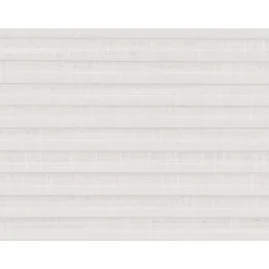 Fenstr Dubbel Plisségordijn Lou Wit Transparant