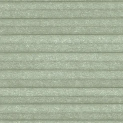 Fenstr Dubbel Plisségordijn Dana Groen Lichtdoorlatend