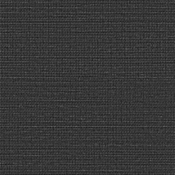 Fenstr Plissé Lina Antraciet Transparant