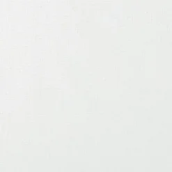 Inbetween Dennis Wit