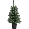 Kerstboom Fiss Frosted Groen