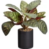 Kunstplant Calathea Groen