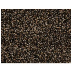 Loper Kingston Bruin