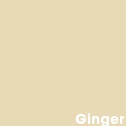 Muurverf Professional Ginger 1 L