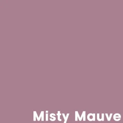 Muurverf Professional Misty Mauve 1 L