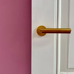 Muurverf Professional Misty Mauve 1 L