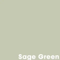 Muurverf Professional Sage Green 1 L