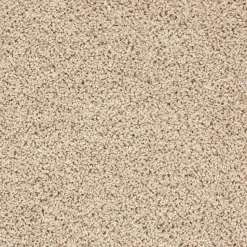 Tapijt Anamosa Beige