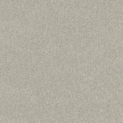 Tapijt Leetsdale Lichtgrijs